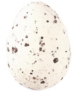 Speckled eggs
